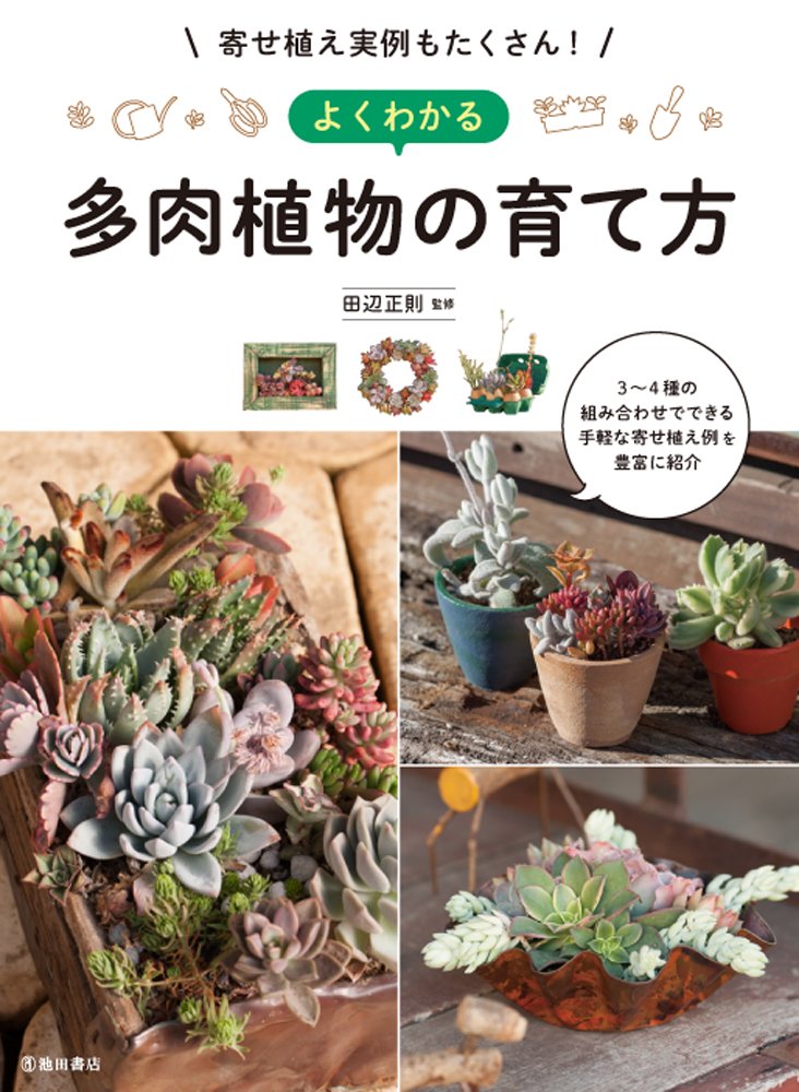 寄せ植え実例もたくさん！ よくわかる多肉植物の育て方 | 田辺正則 |本